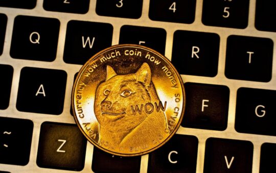 Dogecoin And Thorchain Gain Momentum;  Market Turmoil At Nuggetrush'S Presale