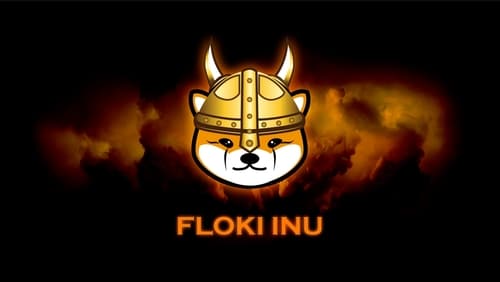 Is Memeinter The Next Big Thing After Bonk And Floki?