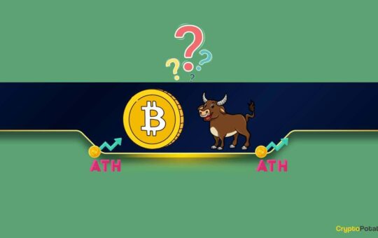 3 Key Signs That The Btc Bull Market Is Just Beginning