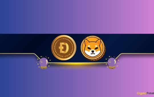 Are Dogecoin (Doge) And Shiba Inu (Shib) Ready For More Profits?  Famous Analyst Chips By