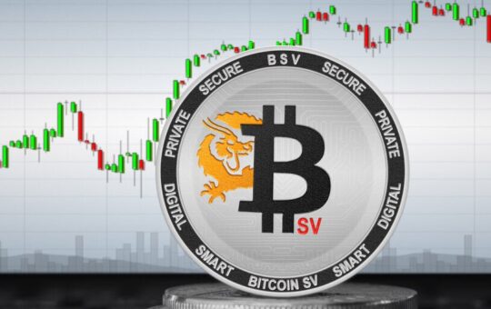 Bitcoin Sv Has Decreased By 22% Since The Court Ruled That Craig Wright Is Not Satoshi