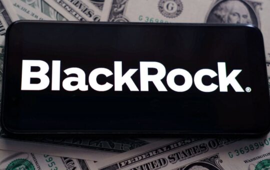 Blackrock Wants To Add Bitcoin Etfs To Its Strategic Portfolio