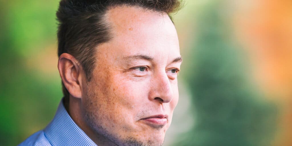 Dogecoin Pumps Like Elon Musk 'Must Enable' Tesla Coin Purchases