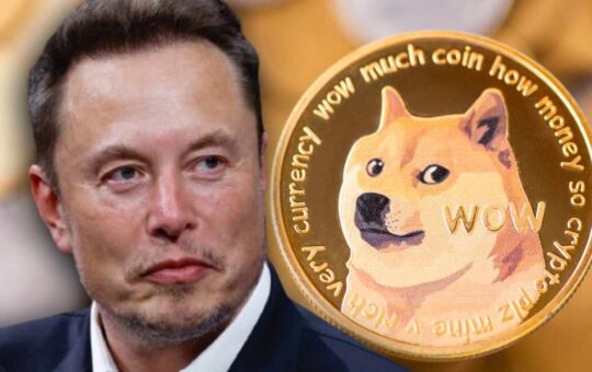 Elon Musk Responds To Doge For Tesla Payments - Saying 'Dogecoin To The Moon'