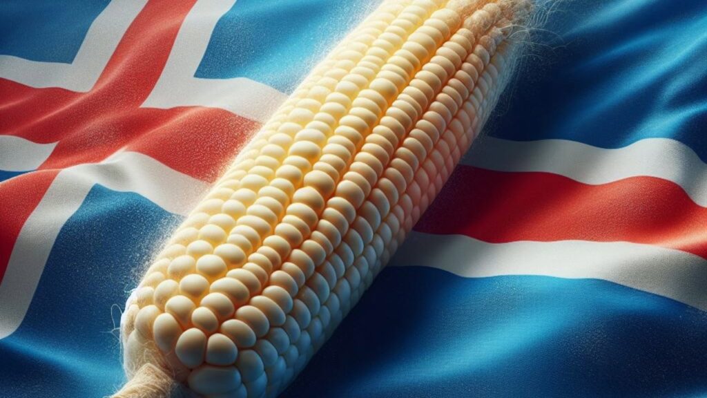 Iceland's prime minister has vowed to prioritize food security over bitcoin.