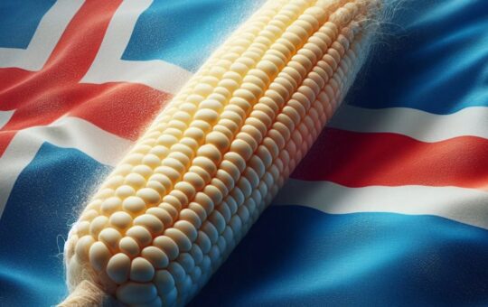 Iceland'S Prime Minister Has Vowed To Prioritize Food Security Over Bitcoin.