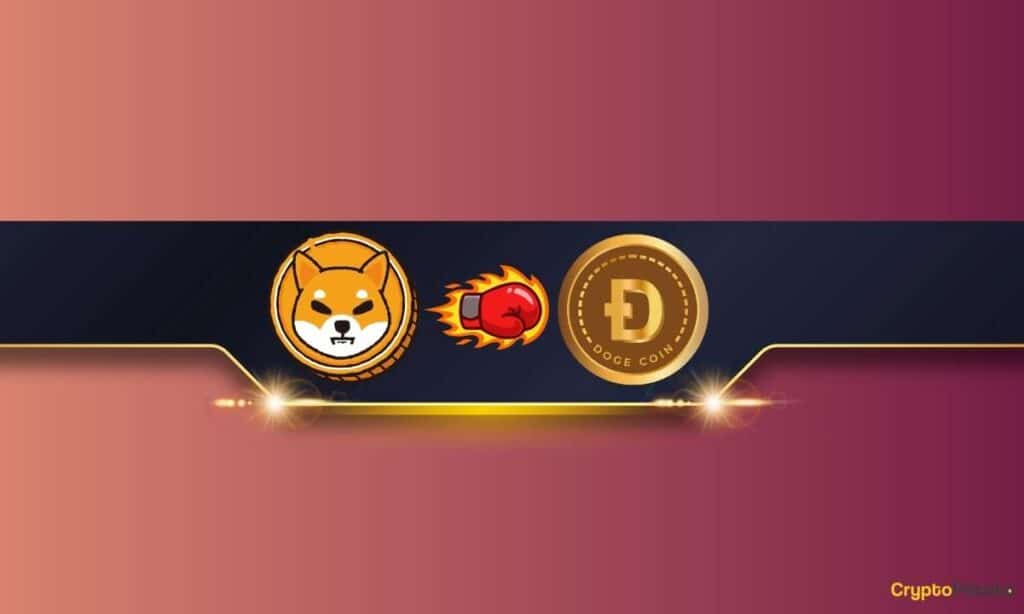 Shiba Inu (Shib) Outperforms Dogecoin (Doge) In This Key Parameter: Details