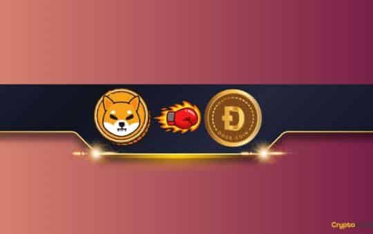 Shiba Inu (Shib) Outperforms Dogecoin (Doge) In This Key Parameter: Details