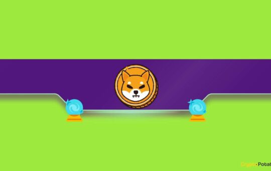 Shiba Inu Price Predictions When Shib Explodes 100% Every Week