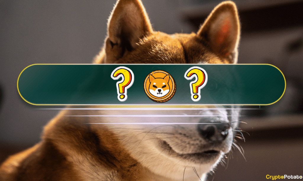 The Best Shiba Inu (Shib) Alternatives In 2024: The Meme Coin Deep Dive