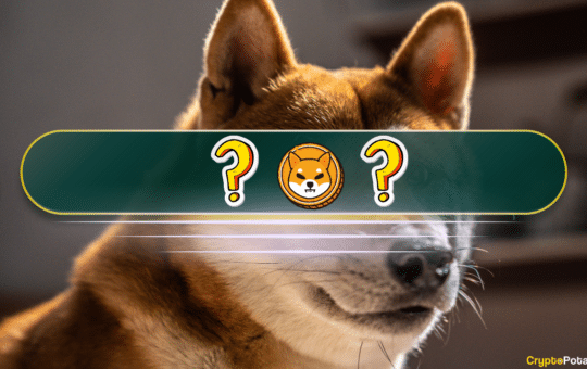 The Best Shiba Inu (Shib) Alternatives In 2024: The Meme Coin Deep Dive