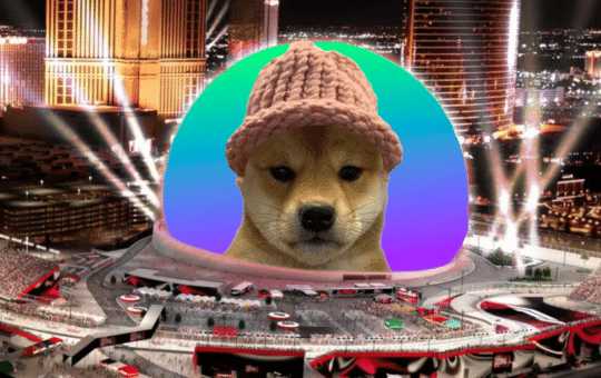 This Week On Crypto Twitter: Denkun Goes Live, Dogwhiphat Goes To Vegas, Craig Wright Goes Down.