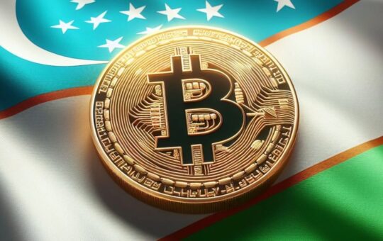 Tie to cooperation with Uzbekistan in developing crypto infrastructure projects