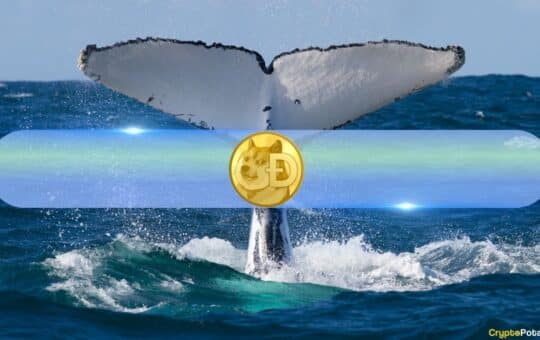 Whale Activity Supports Dogecoin (Doge) Growth Above $0.16: Data