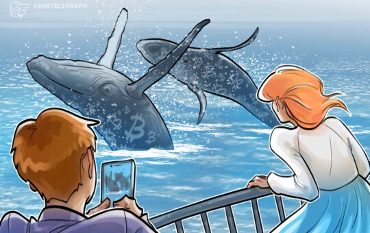 What Are Bitcoin Whales And How To Spot Them?