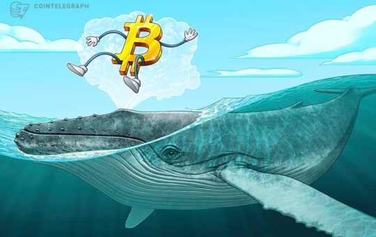 Who is 'Mr.  100'?  The mysterious Bitcoin whale becomes the 14th largest owner of BTC.