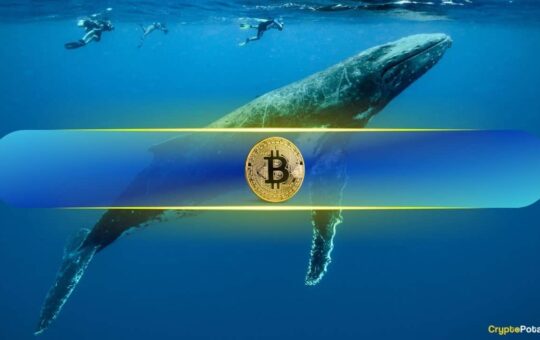 Are Bitcoin Wells Profitable?