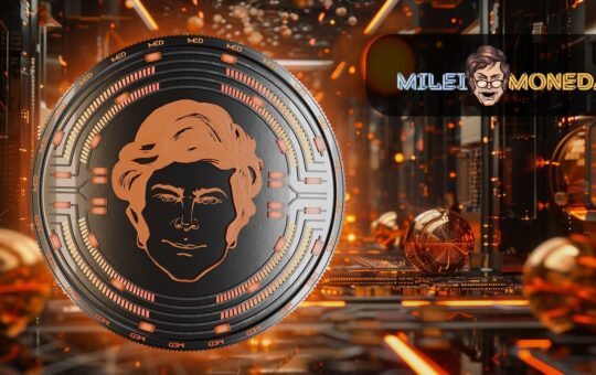 Bonk And Meme Enthusiasts Flock To Milei Moneda Ico: Is Investment Transformation Underway?