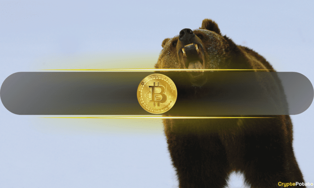 Bitcoin Nosedives 3 Thousand Dollars Recently Liquidated But Analysts Failed