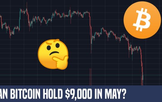 Bitcoin Pulls Back To 9000 And The Striking Correlation