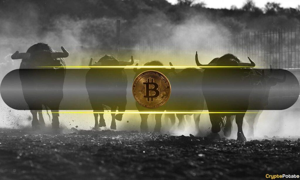 Bitcoin Market Volatility Remains Bullish Post-Halving: Bitfinex