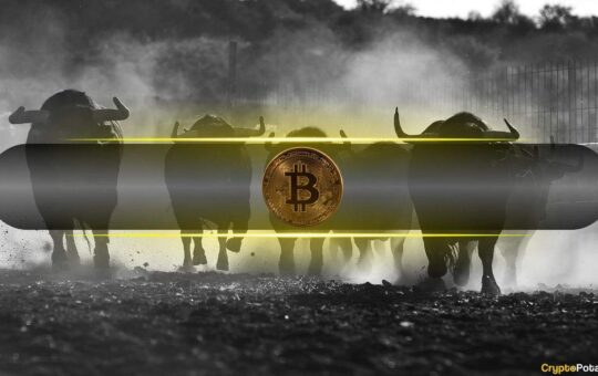 Bitcoin Market Volatility Remains Bullish Post-Halving: Bitfinex