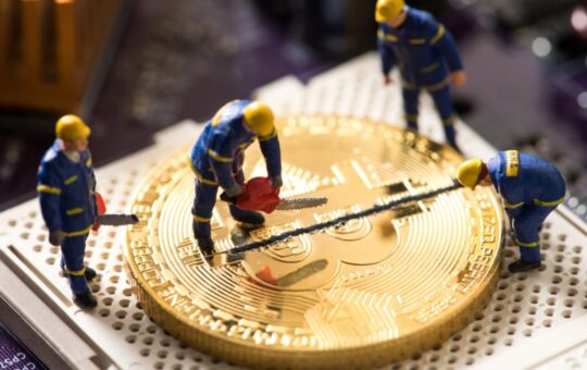 Despite The Expected Loss Of Revenue, Bitcoin Miners Are Optimistic About The Future.