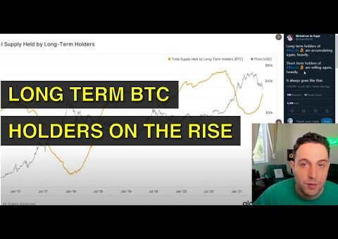 Long Term Bitcoin Holders On The Rise BTC Price