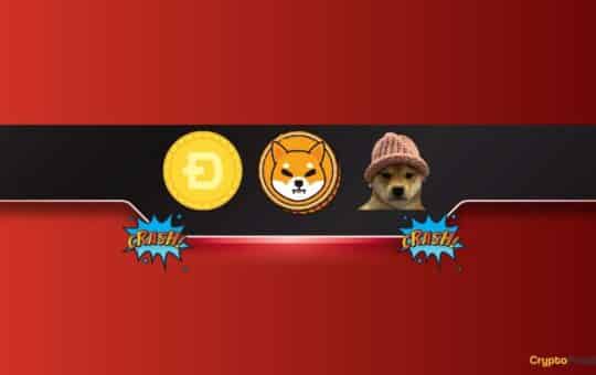 Shib, Doge, Wif Plunge Amid Widespread Market Crash