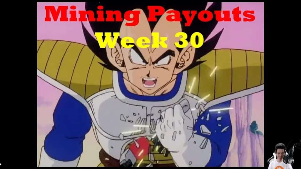 Week 30 Mining Payouts 062019