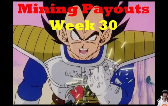 Week 30 Mining Payouts 062019