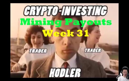 Week 31 Mining Payouts 070119