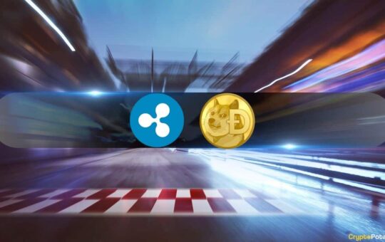 7 Reasons Why Dogecoin (Doge) Could Overturn Ripple'S Xrp In 2024