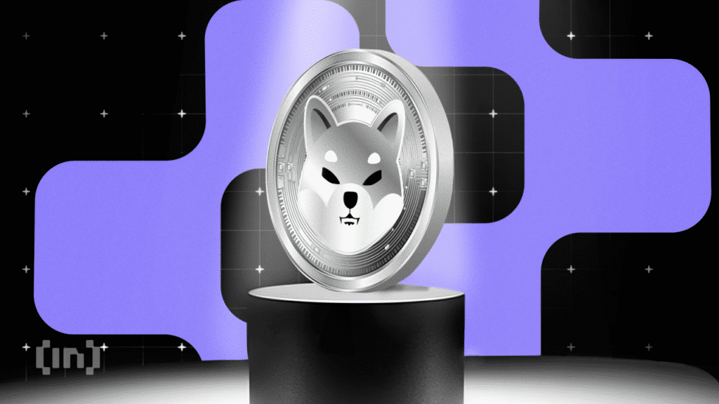 The Bullish and Bearish Case for Shiba Inu (SHIB) Price