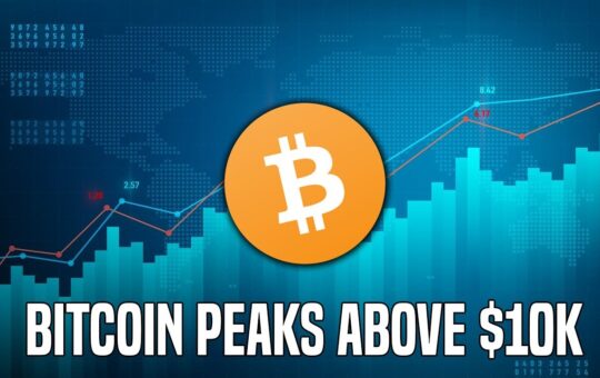 Bitcoin Hits 10000 Altcoins Continue To Rally