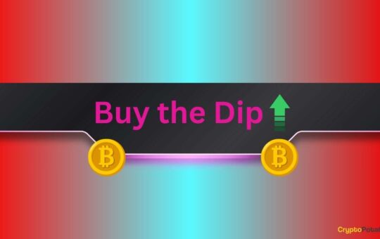 'Buy Deep Crypto' Searches Jump To Two-Year High As Bitcoin (Btc) Falls To Monthly Lows