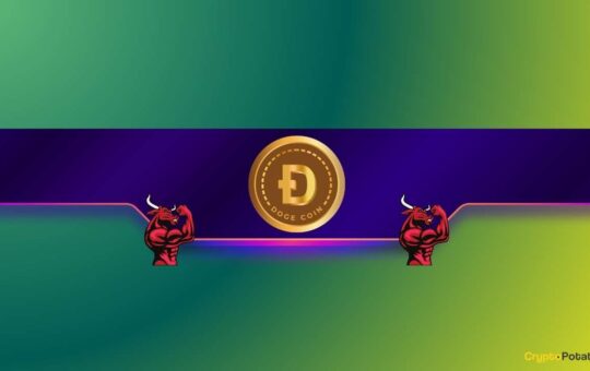 Here'S Why Dogecoin (Doge) May Be Preparing For A &Quot;Massive Bull Run:&Quot; Analyst