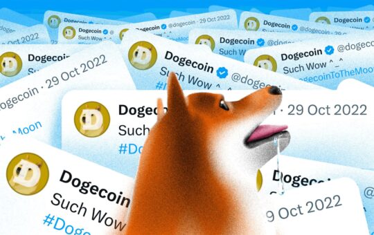 Dogechain To Cease Operations: Withdraw Dogecoin (Doge) Now