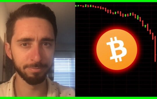 Bitcoin Altcoins Collapse Heres What You Need To