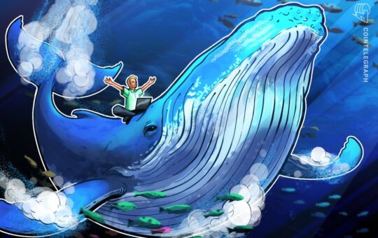 Bitcoin Whales Paid $1.4 Billion In 24 Hours In A Market Correction.