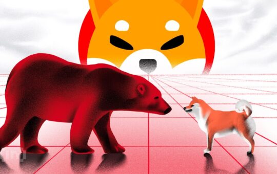 Shiba Inu (SHIB) Investor Losses Jump by $7 Billion