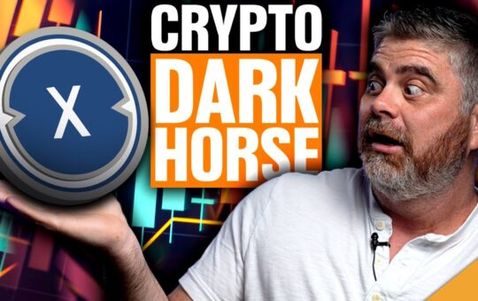 Major Xdc Update Best Crypto Dark Horse