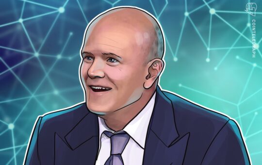 Memecoins Are The 'Cornerstone' Of Crypto — Galaxy Novogratz.