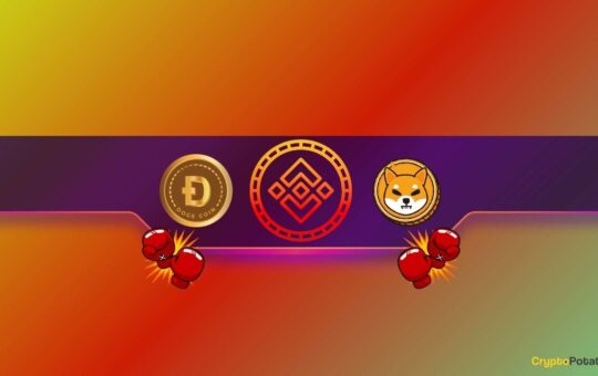 Big Binance Announcement For Shiba Inu (Shib) And Dogecoin (Doge) Traders: Details