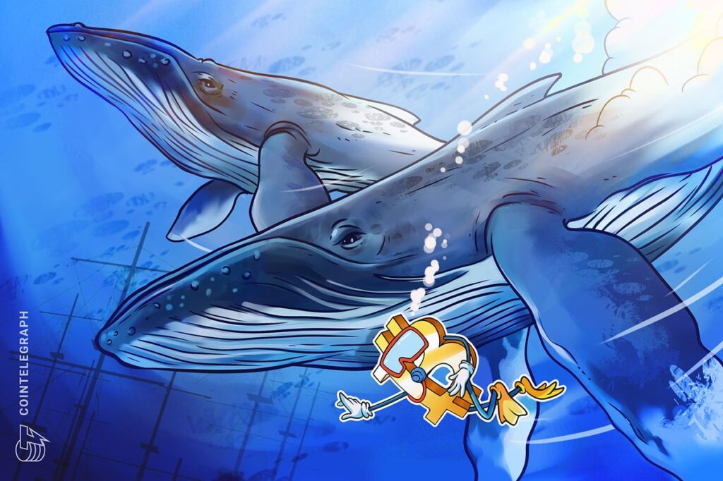 Bitcoin Whales Add 4.3B Btc Amid Price Drop