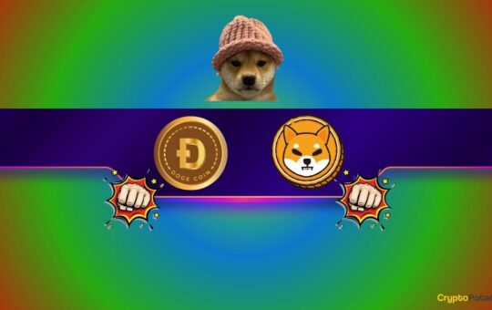 Dogwifhat (Wif) Is Bigger Than Doge, Shib And Pepe