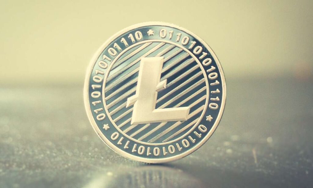 Litecoin Outperforms Dogecoin In This Important Metric: Itb