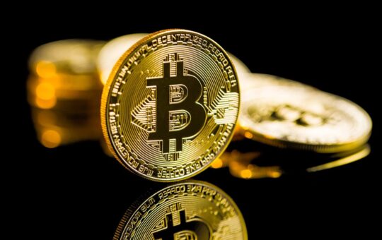 Bitcoin Bounces Back After Massive Selloff;  Brett And Poodlena Shine