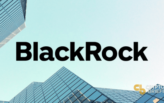 Blackrock Took Over Grayscale As The Largest Crypto Fund Manager