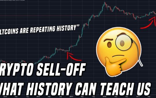 Crypto Sell Off Are Altcoins Repeating History